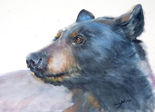 "Black Bear" a fine art Print by Jani Freimann