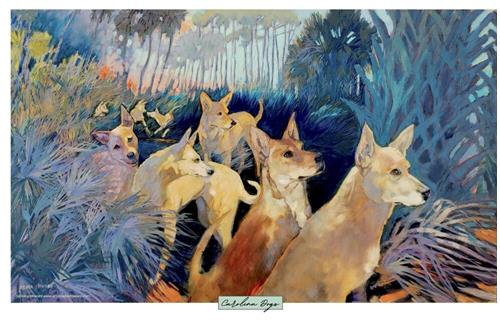 "Carolina Dogs in their Natural Habitat " a fine art Print by Debra Howard