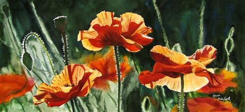 "Poppy Trio " a fine art Print by Andy Sewell