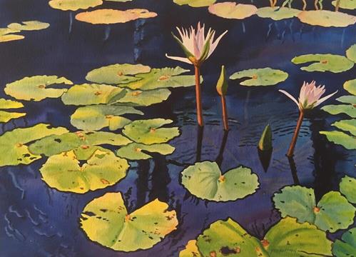 "Carolina Water Lilies" a fine art Print by Patricia Huffman