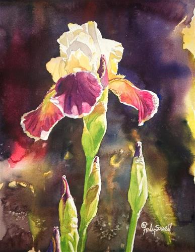 "Iris Light" a fine art Print by Andy Sewell