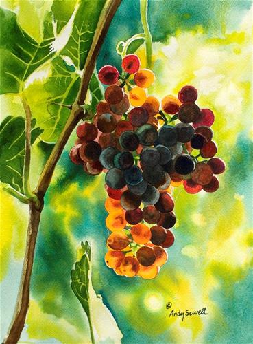 "Red Grapes Glow" a fine art Print by Andy Sewell