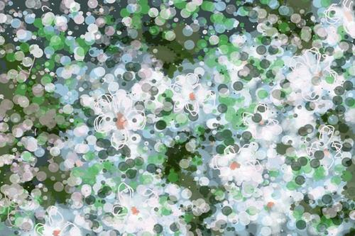 "Clematis " a fine art Print by Olesya Sytnyk