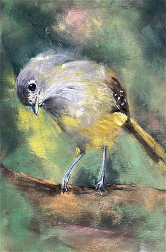 "Hutton's Vireo" a fine art Print by Donna Theresa