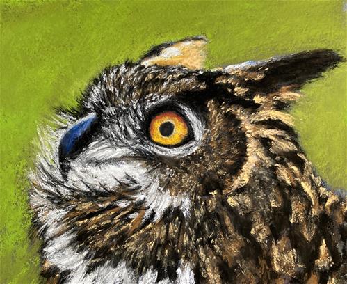 "Hoot" a fine art Print by Donna Theresa