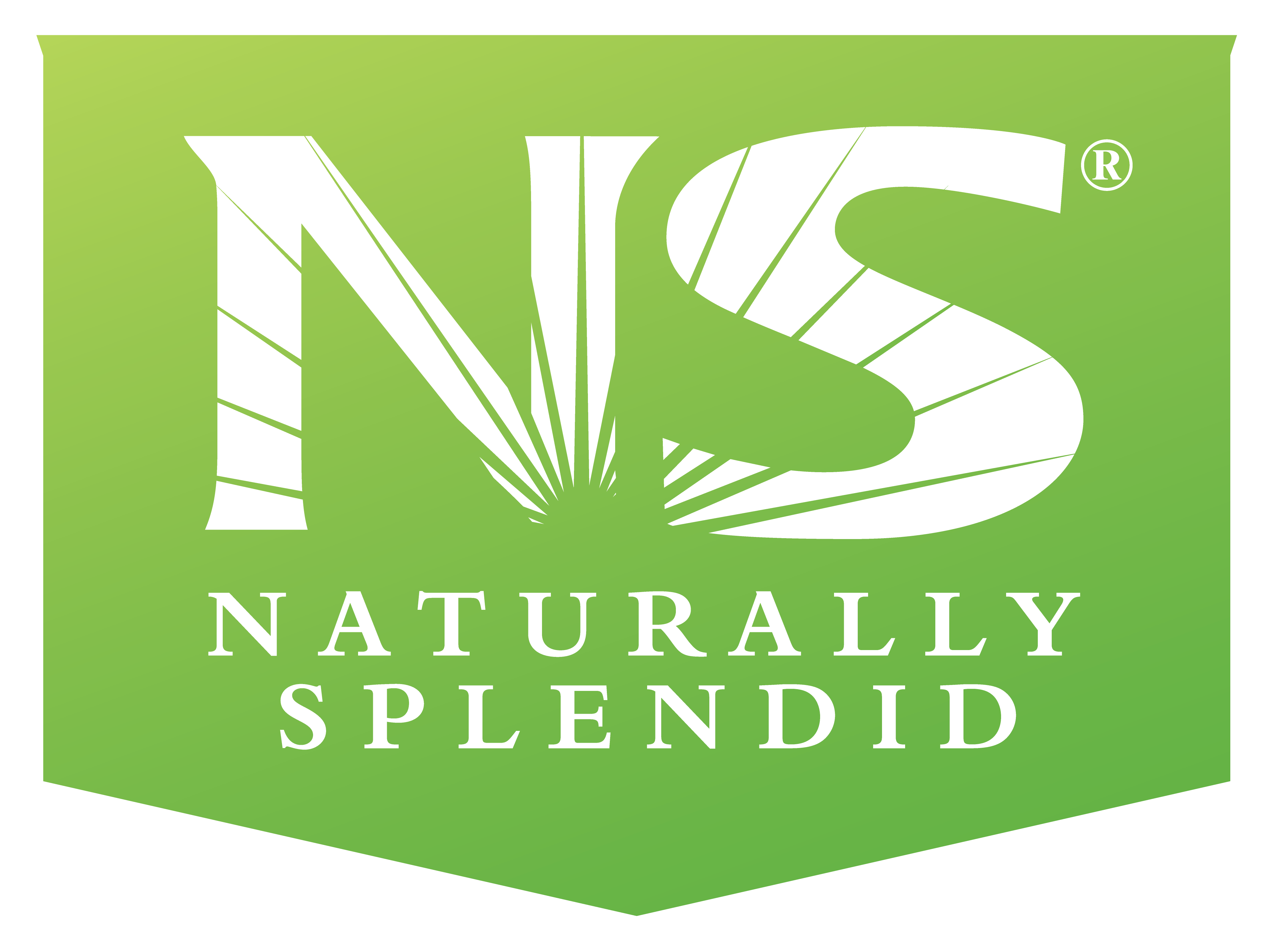 Naturally Splended Enterprises LTD. (OTCQB:NSPDF)
