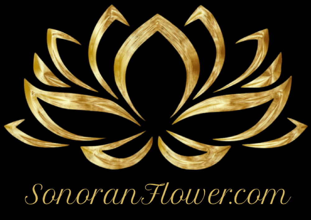 Anything Technologies Media Inc. (OTC:EXMT)