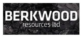 Berkwood Resources Ltd. (TSXV:BKR)