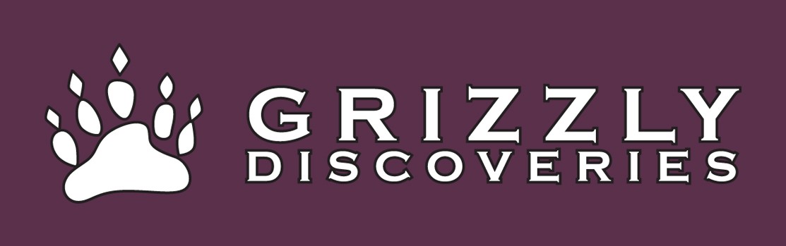 Grizzly Discoveries Inc. (OTCQB:GZDIF)
