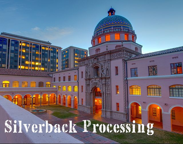 Process Server Tucson Silverback Processing Process Server Tucson