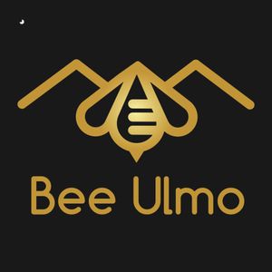 Bee Ulmo, LLC logo