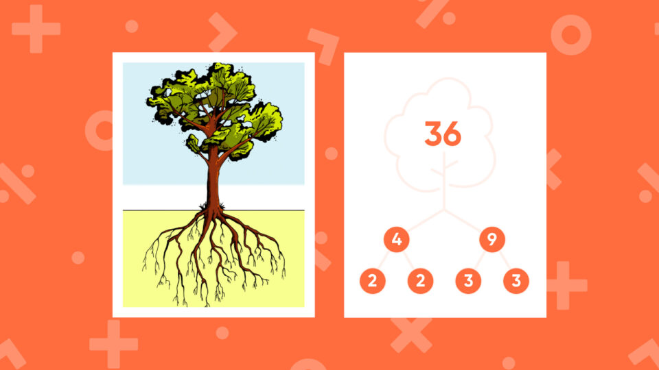 Prime factor tree factorization 36 hero2
