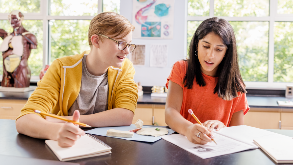 WF2513200 Shaped 2025 Blog Post Winter Solstice Science Activities Hero Banner