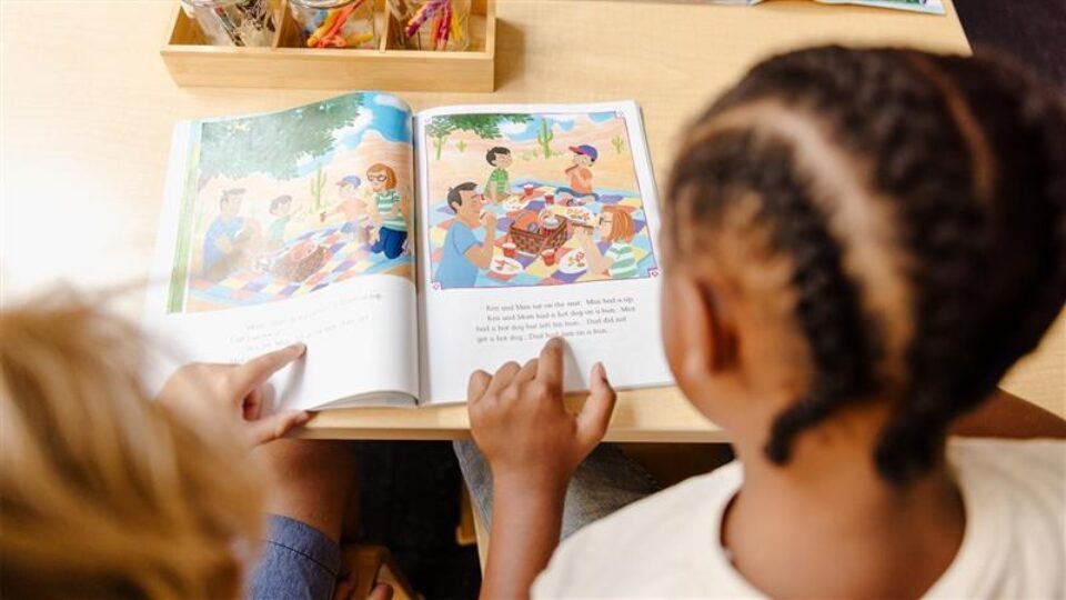 Ef0830e3 c79c 4d8e b322 003f187fab53