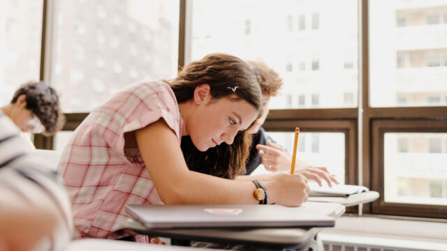 Student completes individual assessment