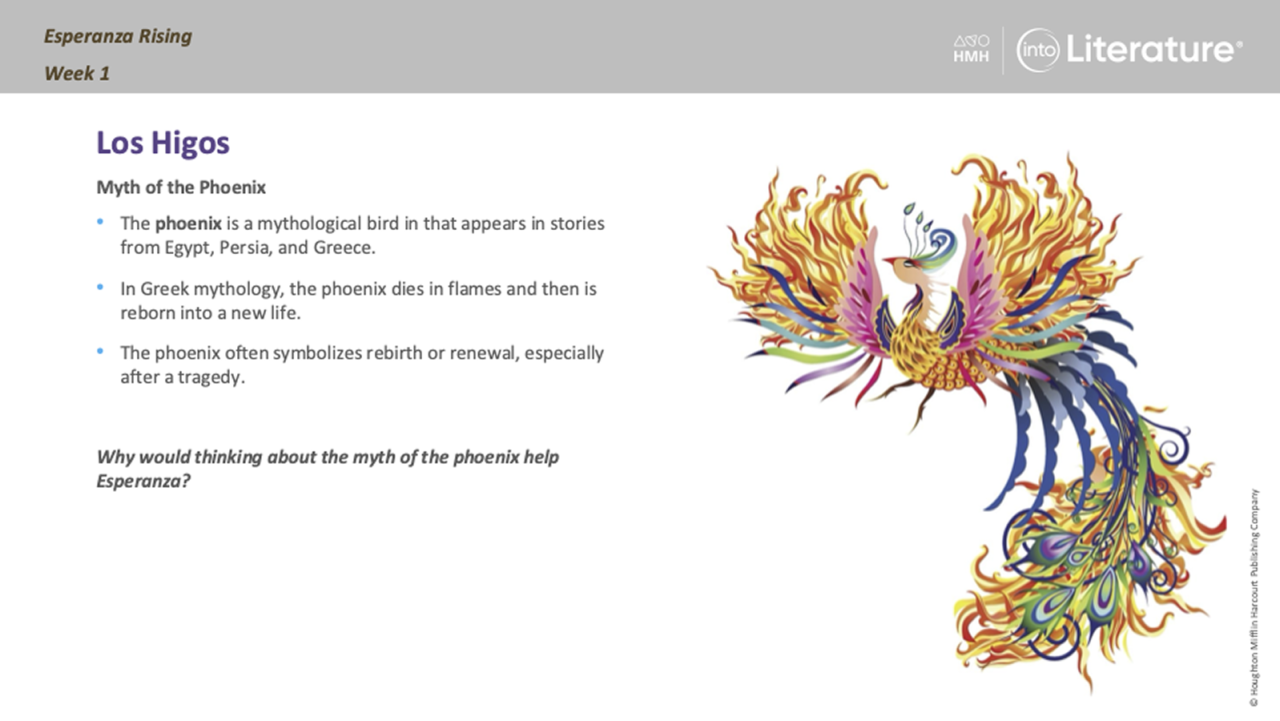 Into Literature Esperanza Rising lesson on the myth of the phoenix.