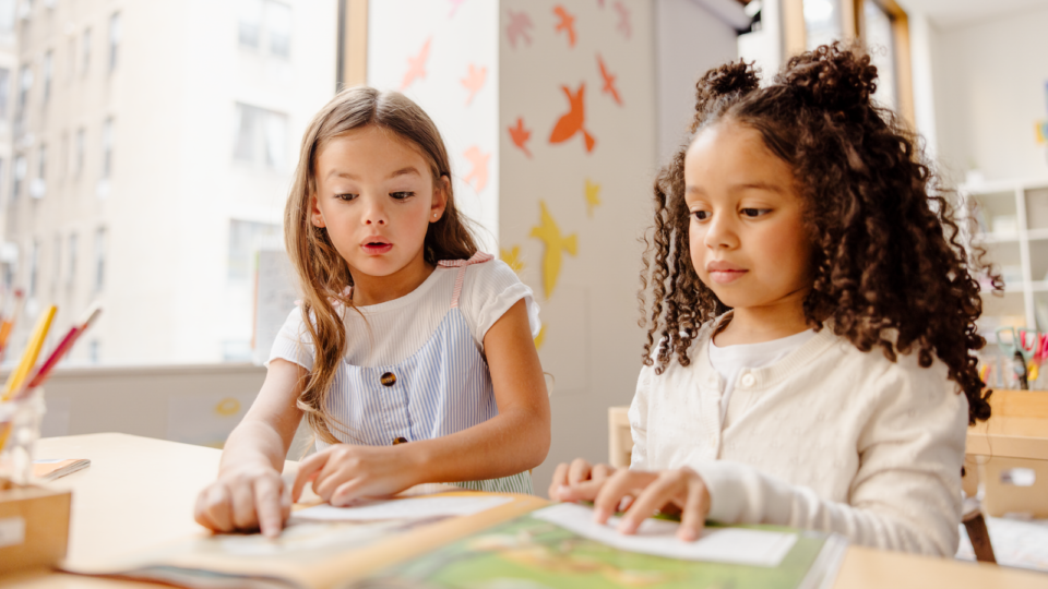Differenciated Reading Strategies Hero
