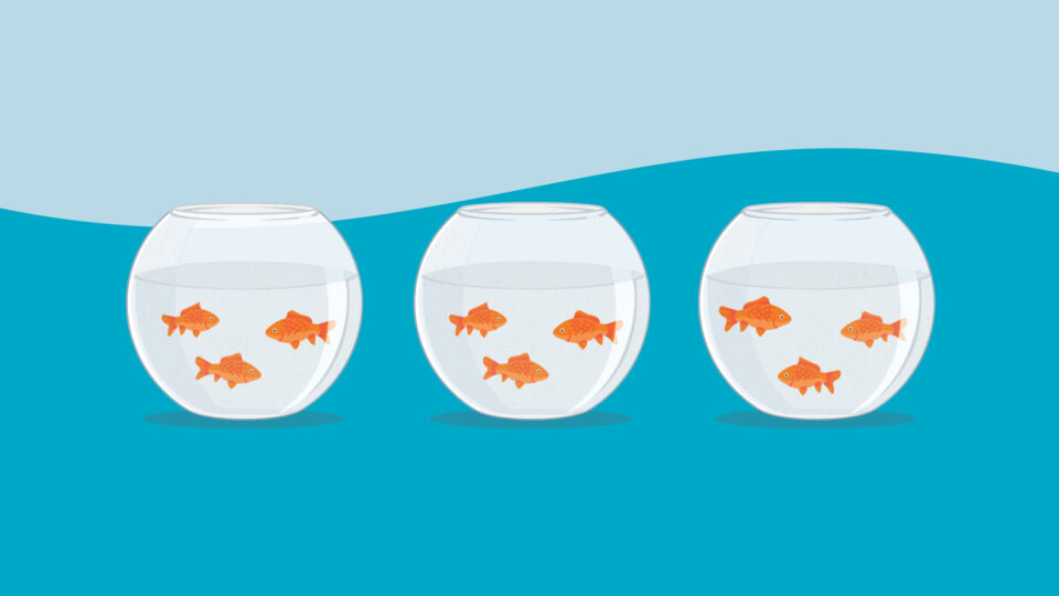 illustrated image of 3 fish bowls