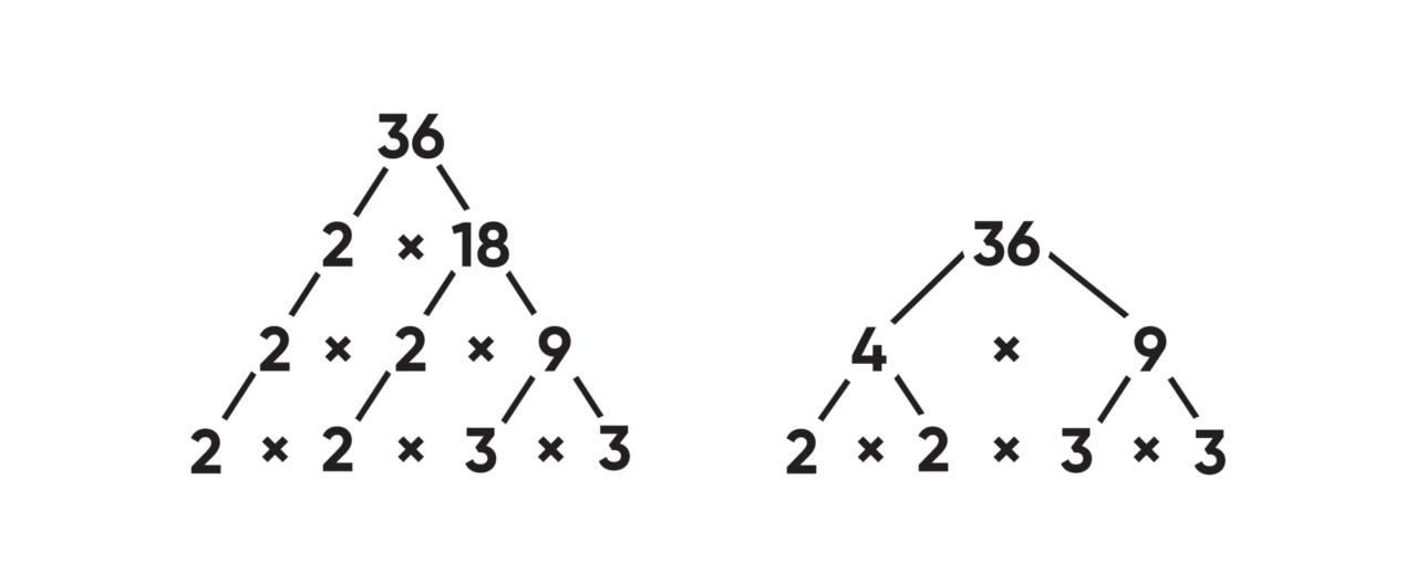 Prime factor tree factorization 36 image 1