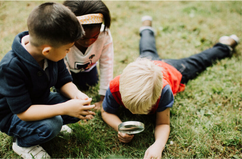 Active-Learning-ScienceCurriculum-WF2823400