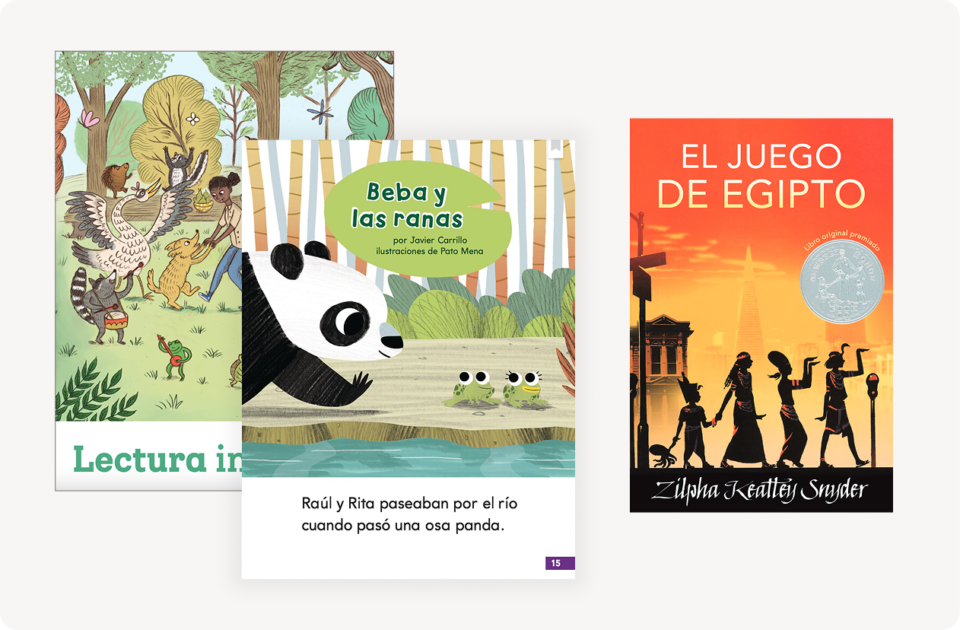 Biliteracy instruction into reading overview