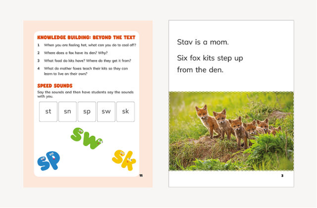 Purposeful Phonics Practice Into Reading WF2859802