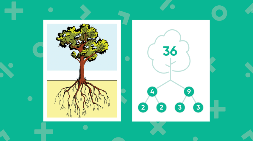 teaching prime factorization of 36 houghton mifflin harcourt