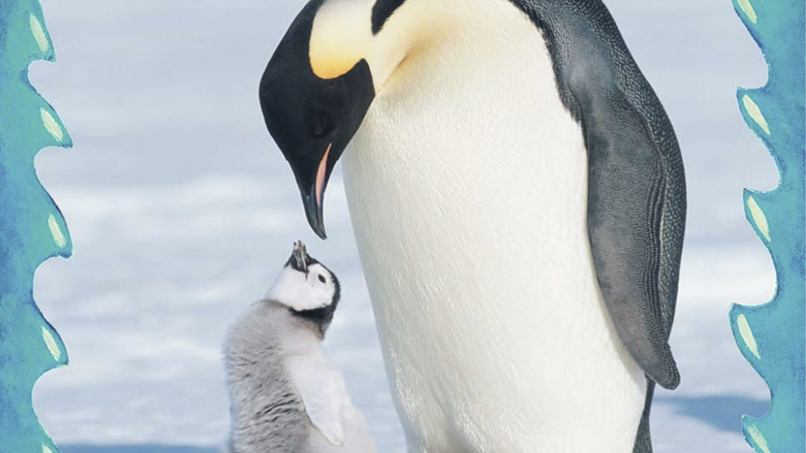 Fun 1st & 2nd Grade Learning Activities | Houghton Mifflin Harcourt