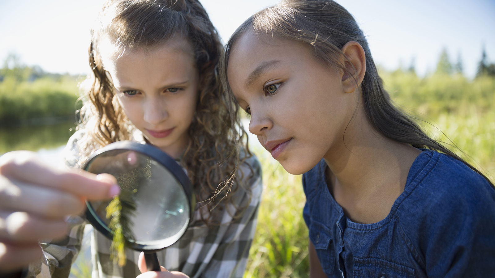 4 Fun Earth Day Activities for Middle & High School Students Houghton