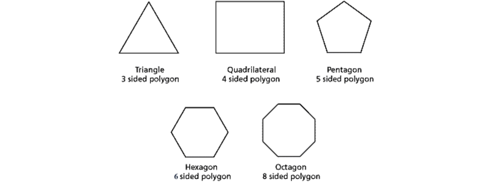 Parts Of A Polygon Parts Of A Polygon