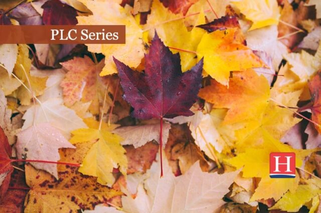 2019 PLC Banner 780x519 Nov1119