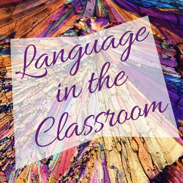 EL Colors2 copy 1024x1024 5