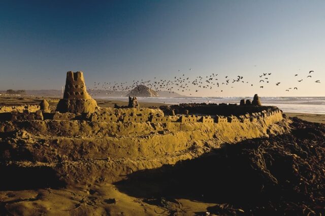 Michael baird 14949 6