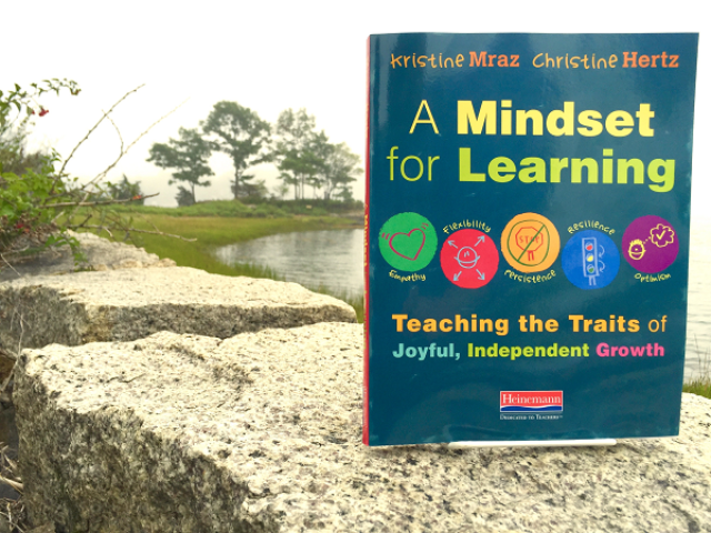 Mindset cover mrazhertz 7