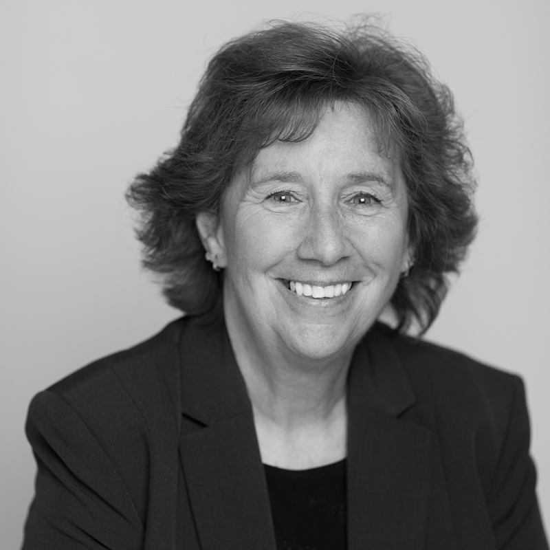 Dr. Susan Szachowicz, Senior Fellow, Brooklyn High School | Houghton ...