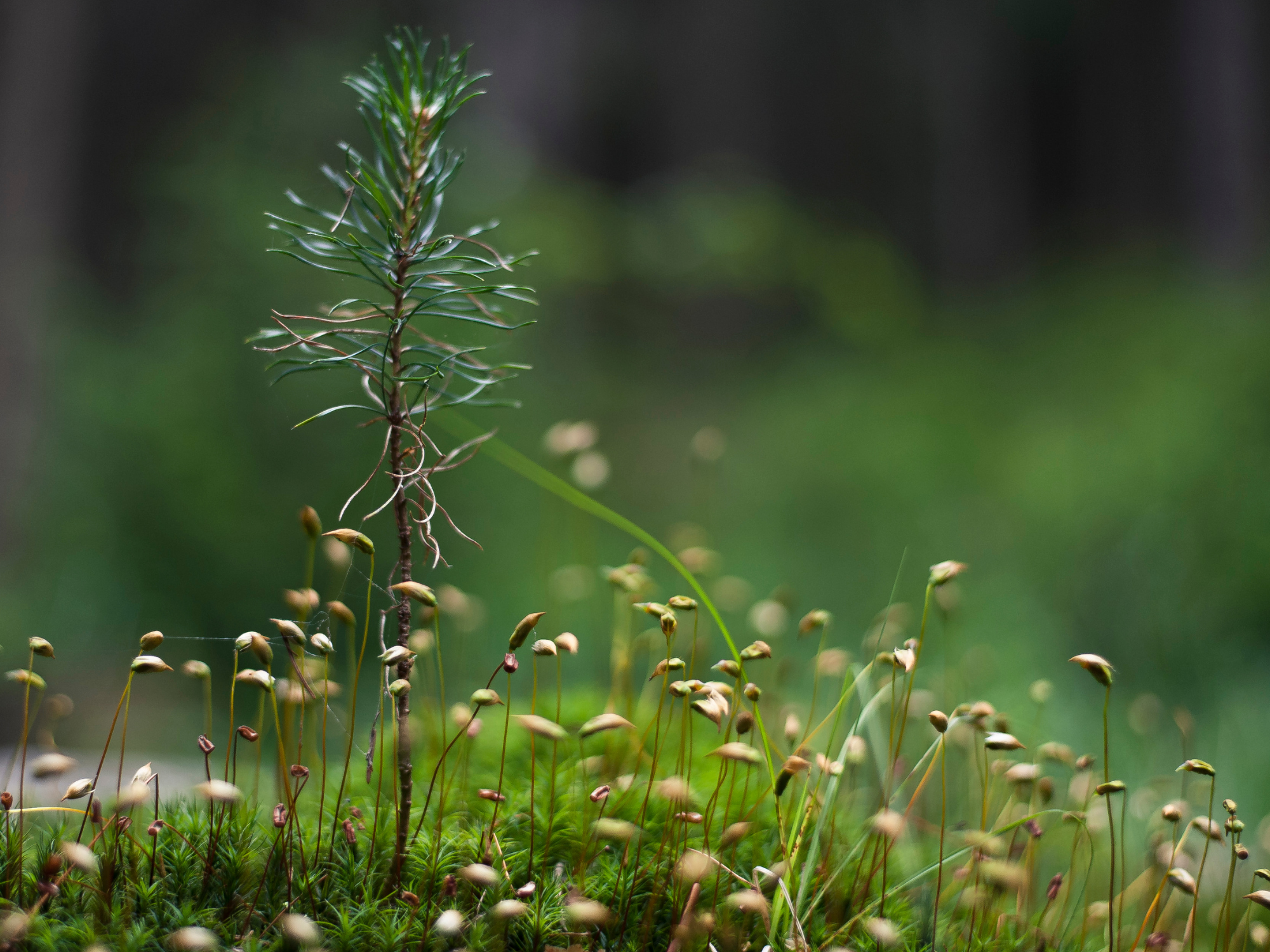 Teaser Inspiration Artwork.png