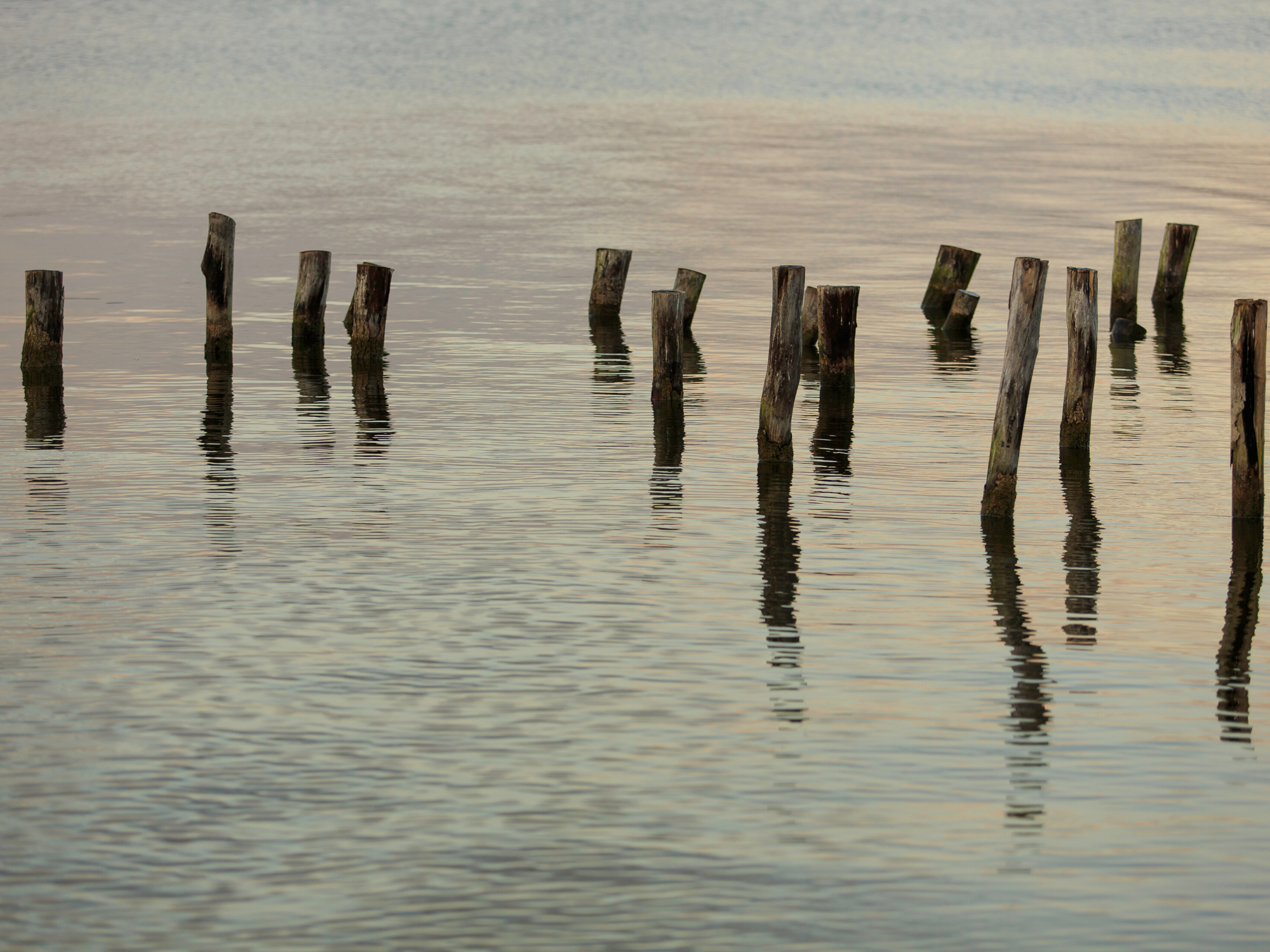 Teaser Inspiration Artwork.png