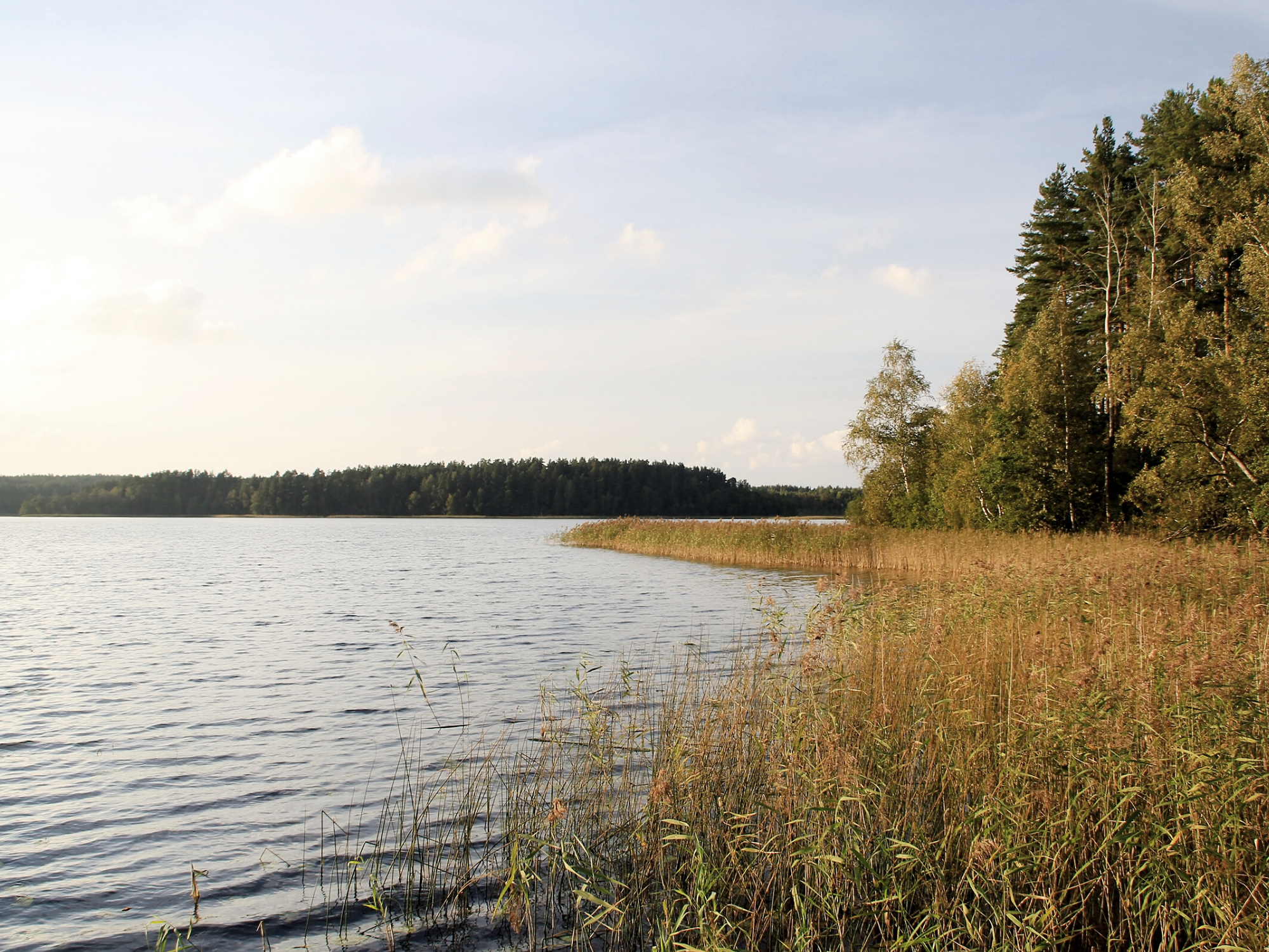 Teaser Inspiration Artwork.png