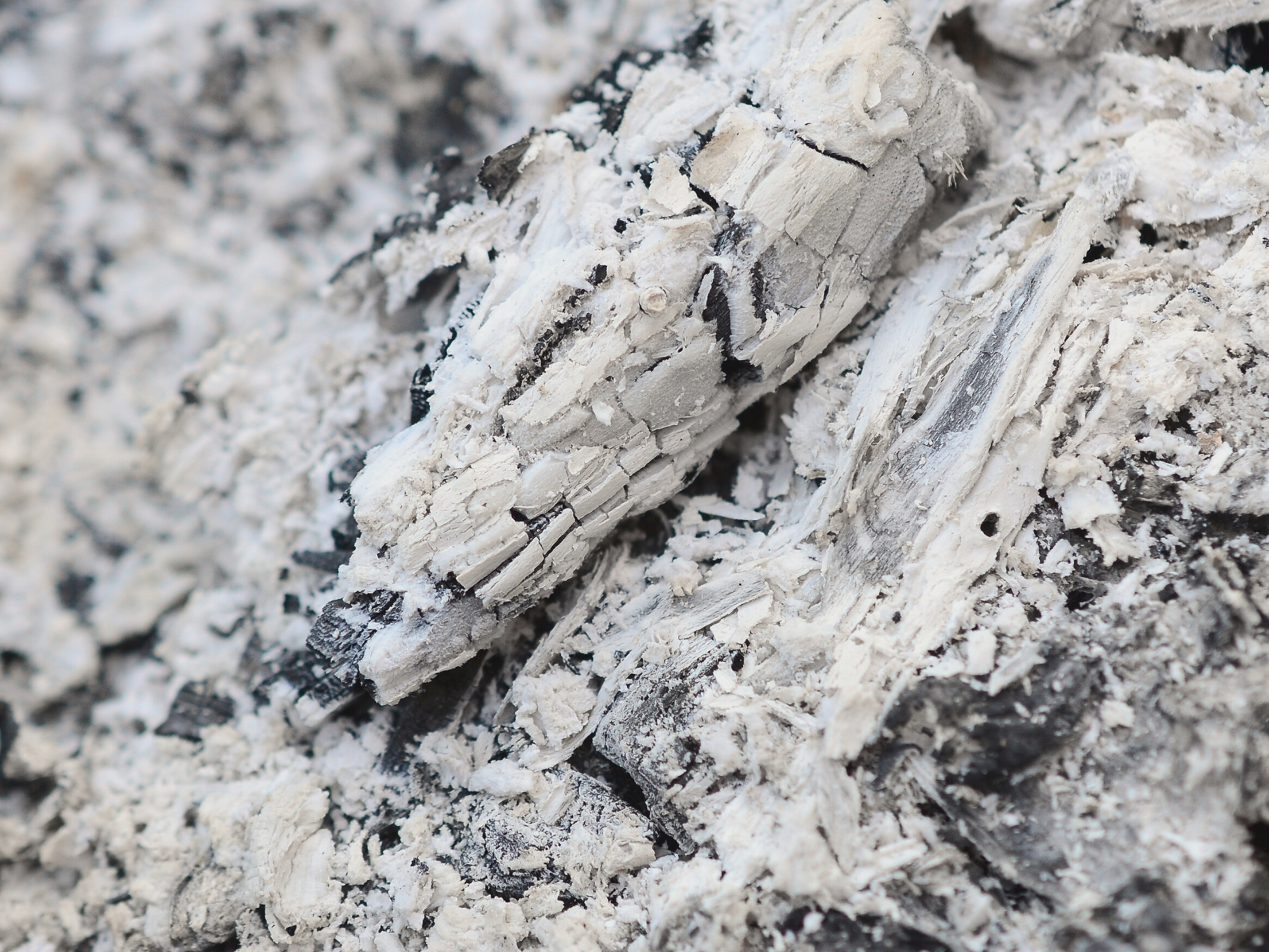 Teaser Inspiration Artwork.png