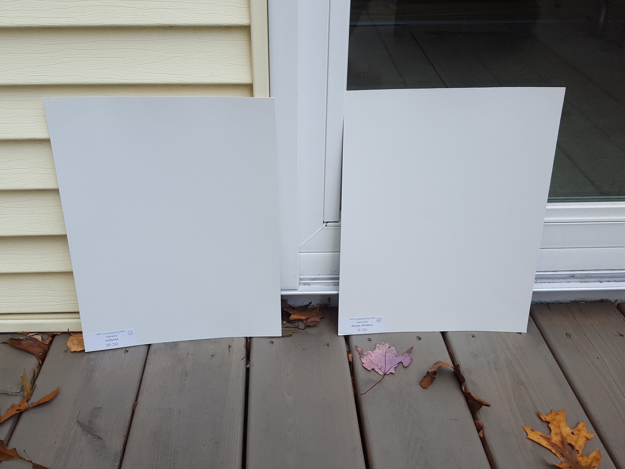 finding the right white