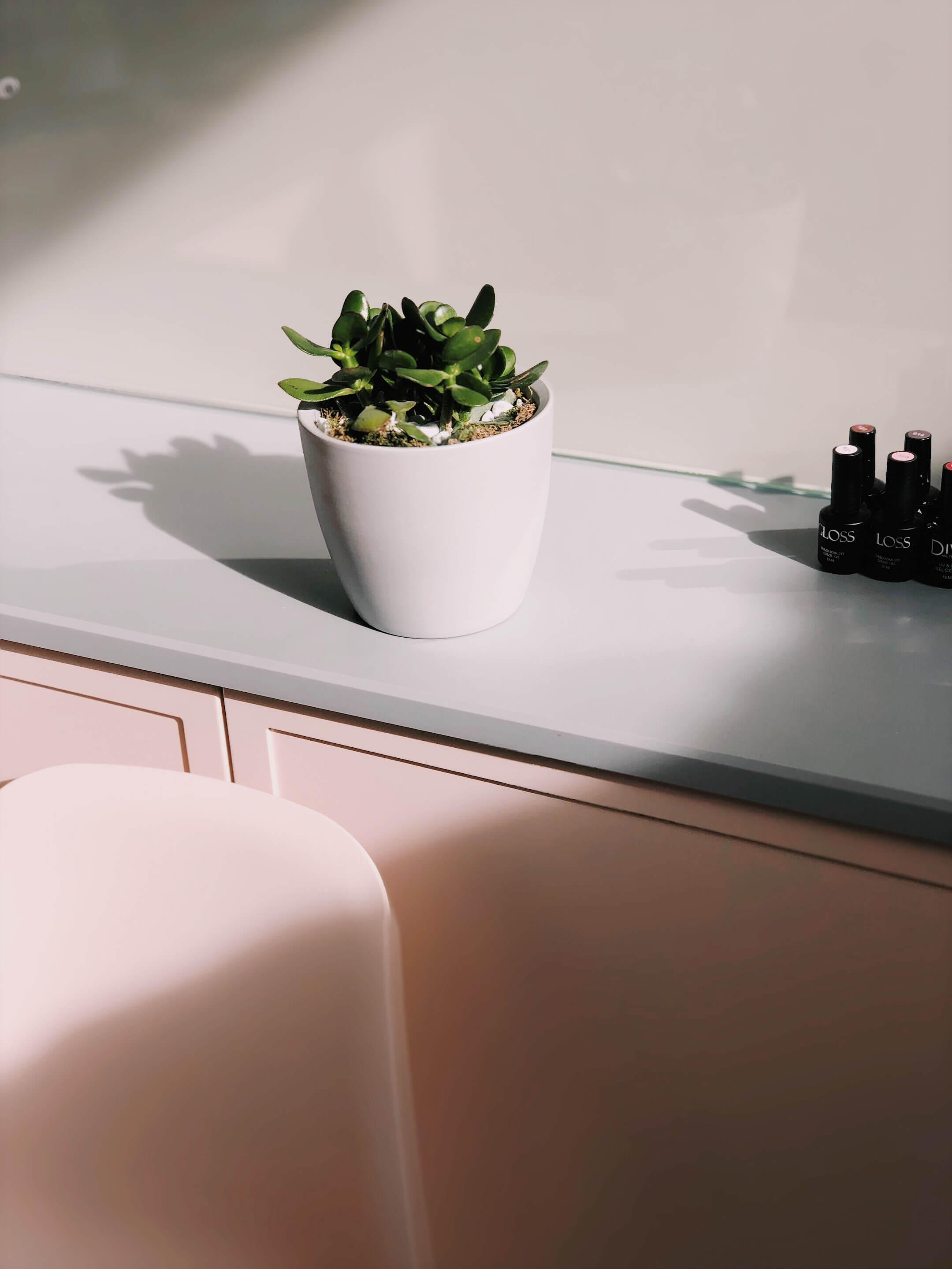 Canva___Green_Leafed_Potted_Plant_1574675175212 (1).jpg