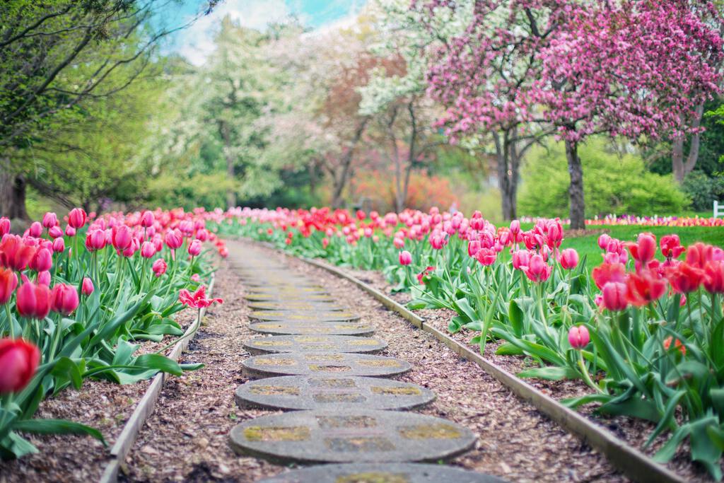 landscaping-garden-pathway-marietta-square.jpg