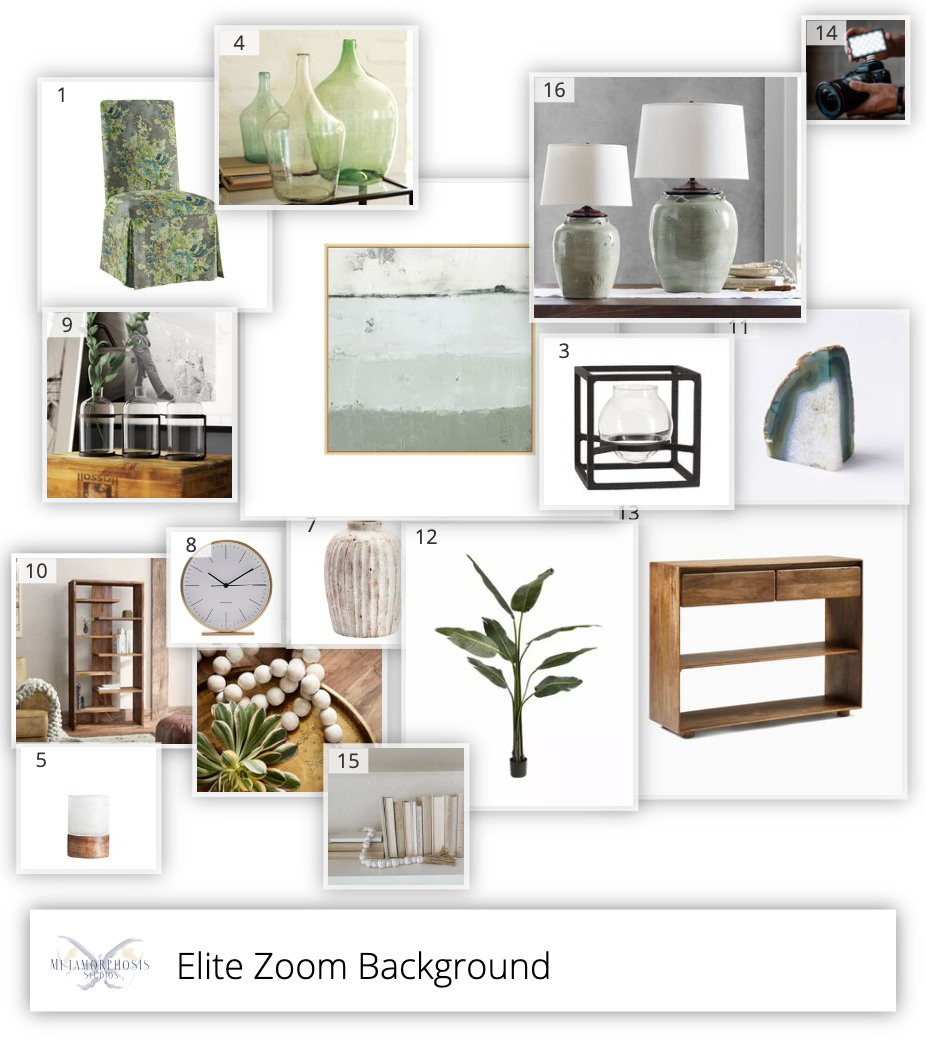 Elite Zoom Background .png