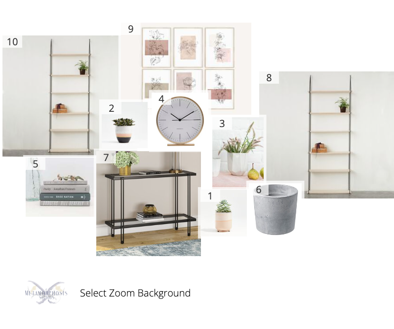 select zoom background mood board.png