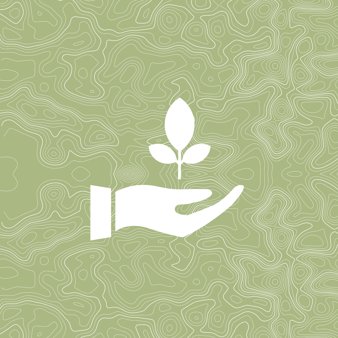 Jenna's rebrand (1).png