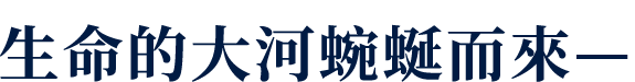 生命的大河蜿蜒而來