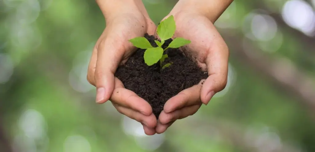 Carbon farming and carbon storage in products - 碳農業和產品碳儲存