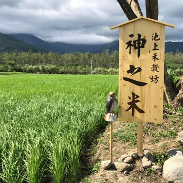 區塊鏈認證池上米