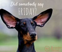 Friday