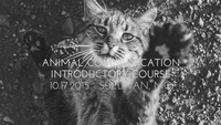 Animal communication event